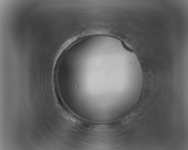 X0000061730104200512161633