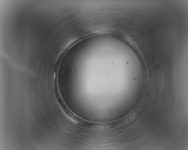 X0000061730106200512161633