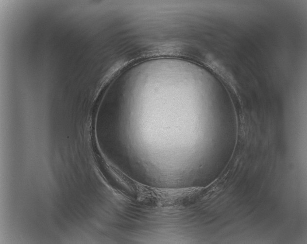 X0000061730107200512161633