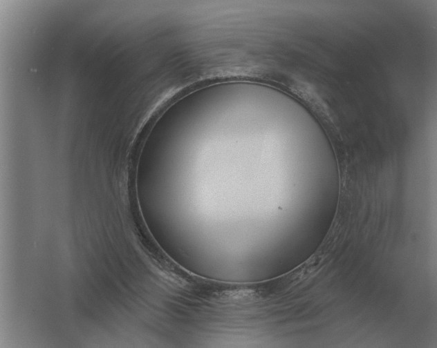 X0000061730108200512161633