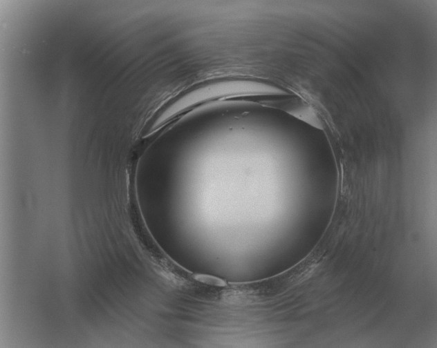 X0000061730109200512161633