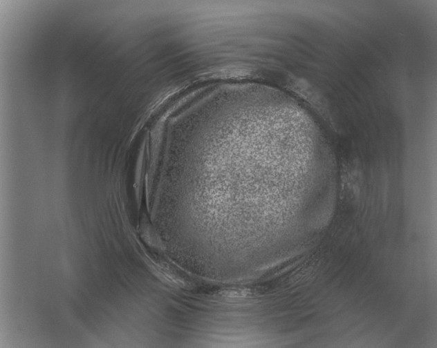 X0000061730110200512161633