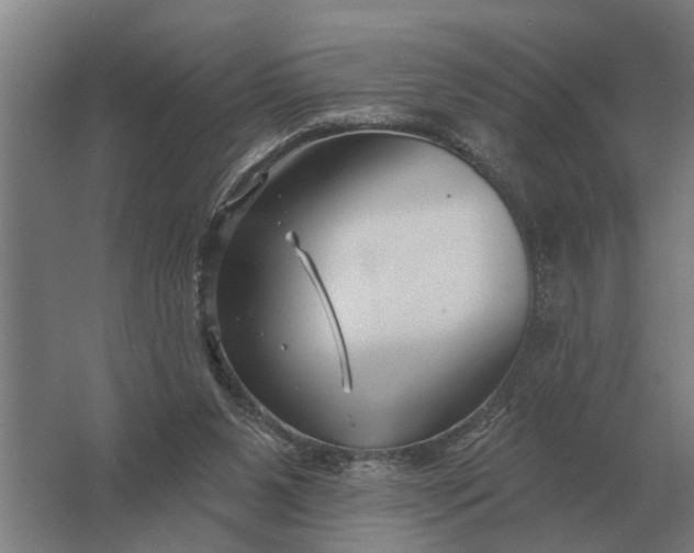 X0000061730111200512161633