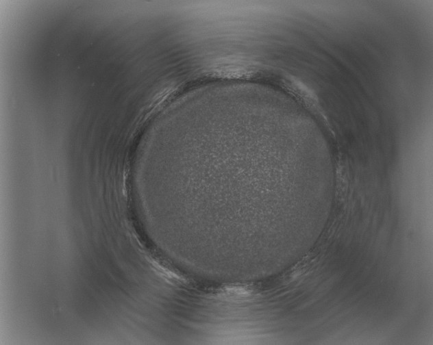 X0000061730114200512161633