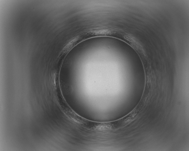 X0000061730115200512161633