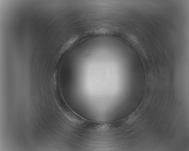 X0000061730116200512161633