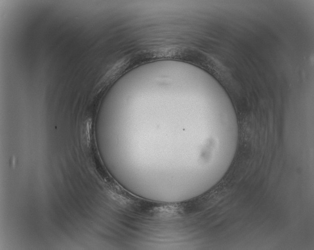 X0000061730118200512161633