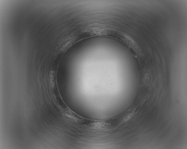 X0000061730121200512161633