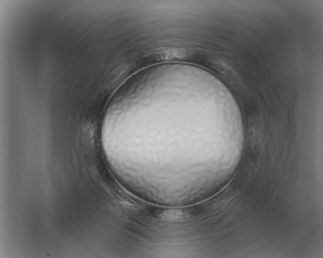 X0000061730123200512161632