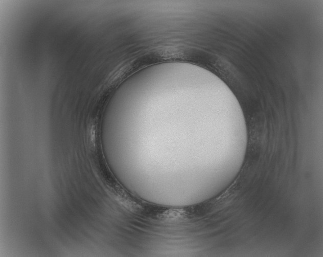 X0000061730124200512161632