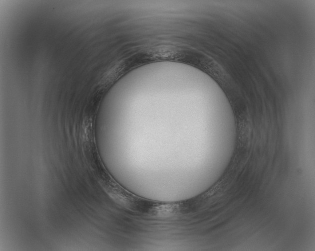 X0000061730126200512161632