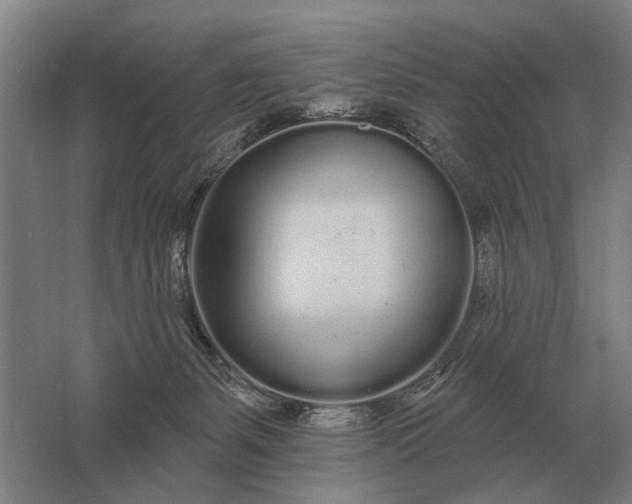 X0000061730127200512161632