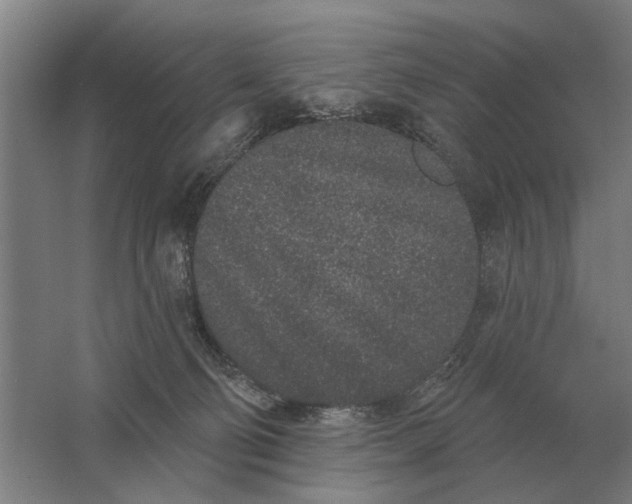 X0000061730130200512161632