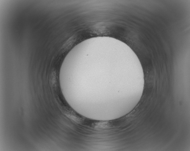 X0000061730132200512161632