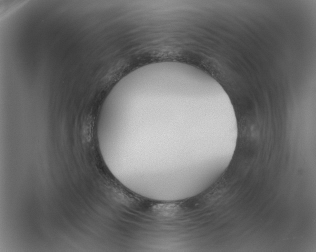 X0000061730133200512161632