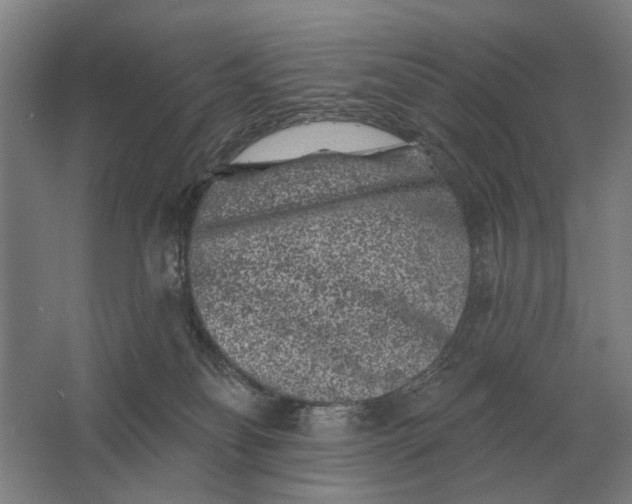 X0000061730134200512161632