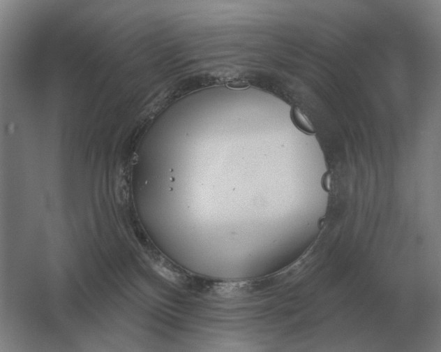 X0000061730136200512161632