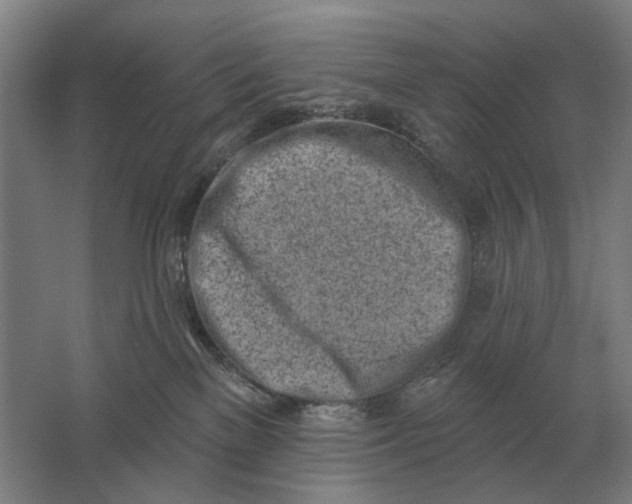 X0000061730137200512161632