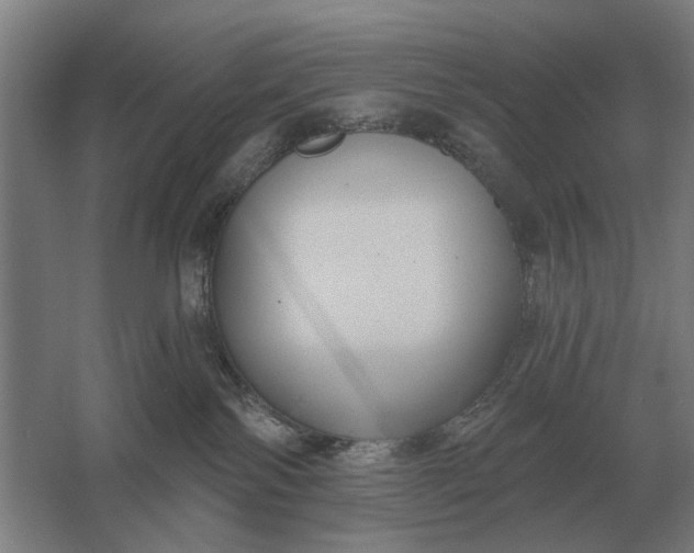 X0000061730138200512161632