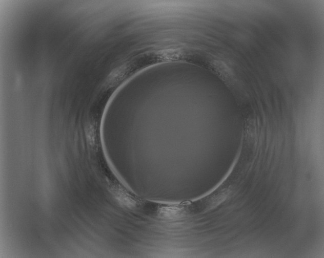 X0000061730139200512161632