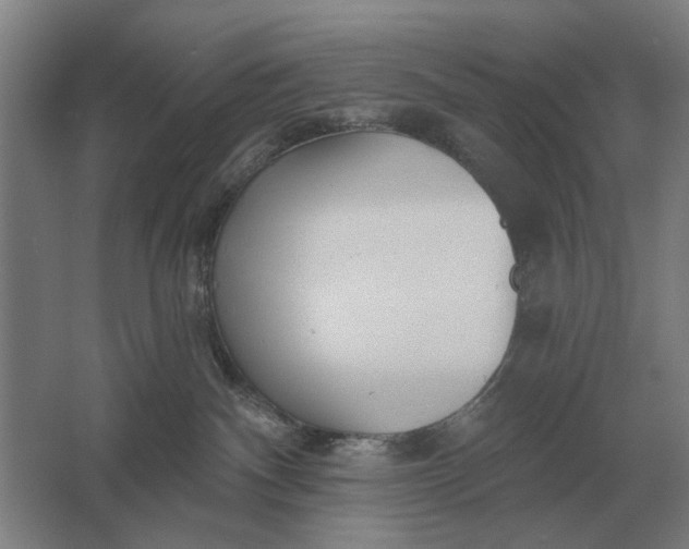 X0000061730140200512161632