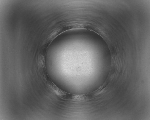 X0000061730141200512161632