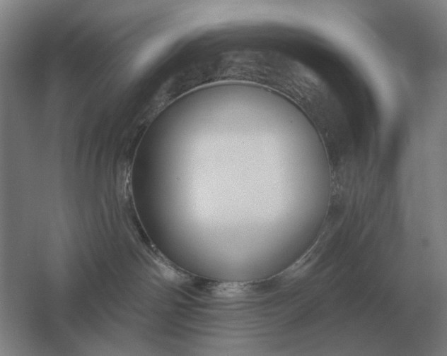 X0000061730142200512161632