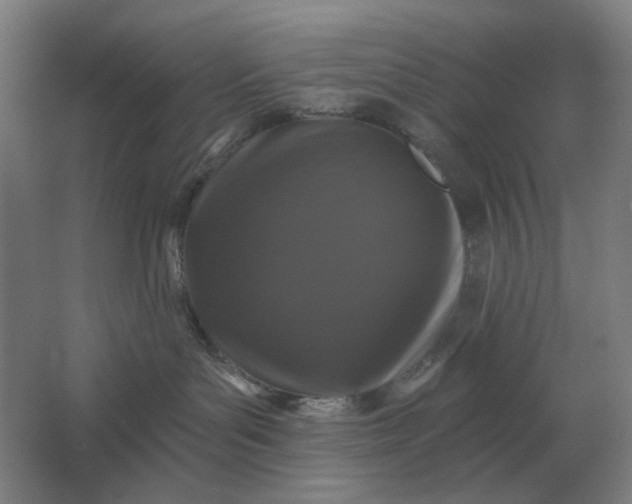 X0000061730143200512161632