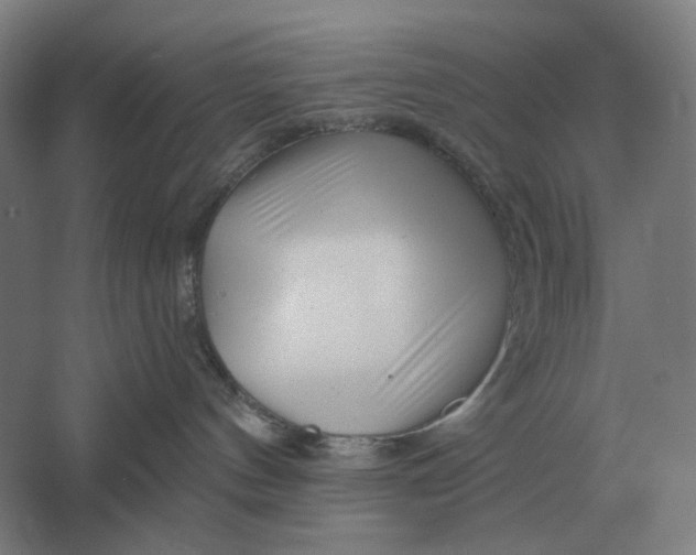 X0000061730144200512161632