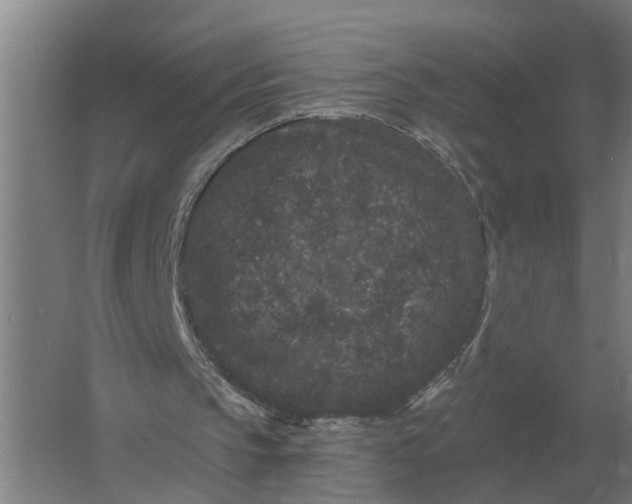 X0000061730145200512161631