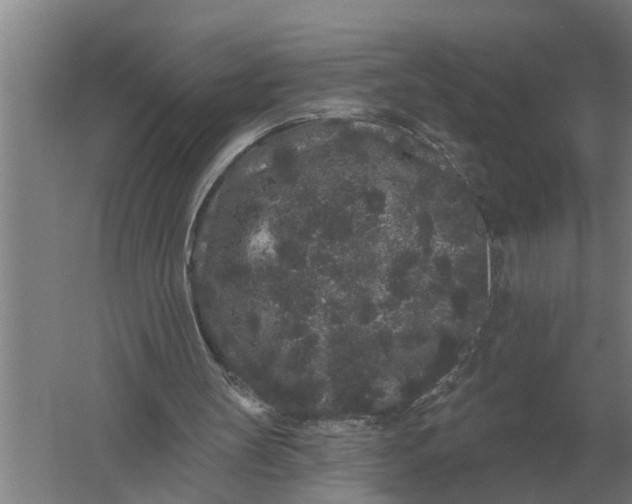 X0000061730147200512161631