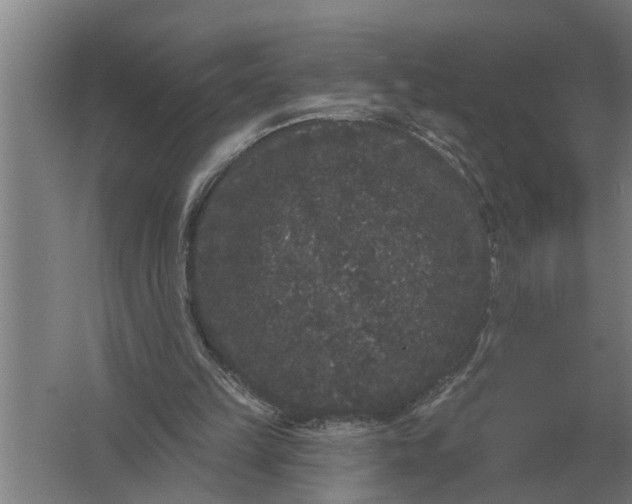 X0000061730149200512161631