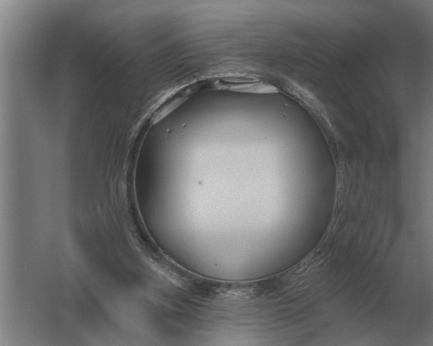 X0000061730155200512161631