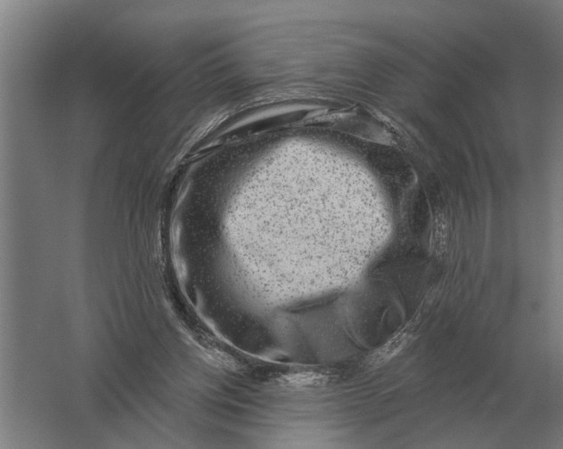 X0000061730158200512161631