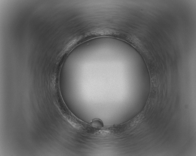 X0000061730159200512161632