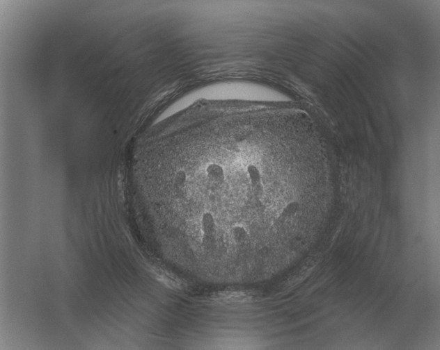 X0000061730161200512161632