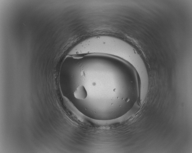 X0000061730162200512161632