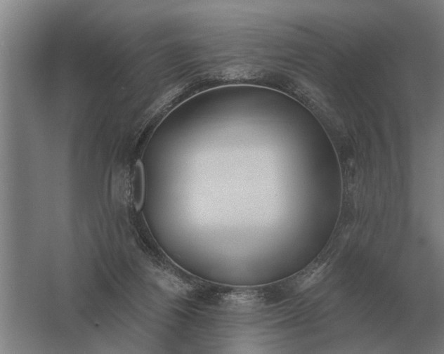 X0000061730164200512161632