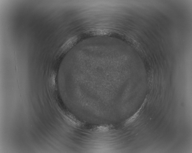 X0000061730166200512161632