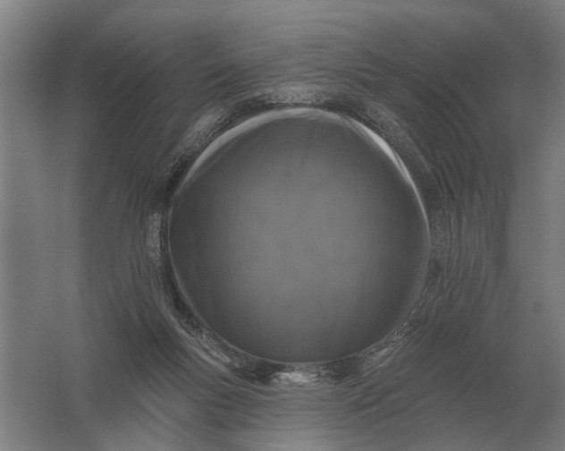 X0000061730167200512161632