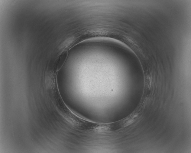 X0000061730168200512161632