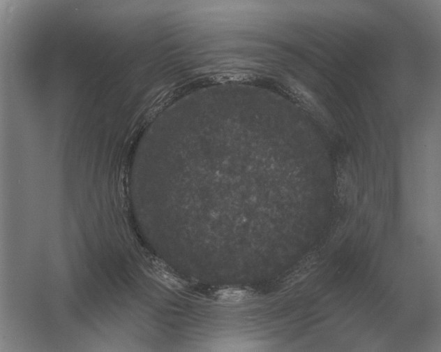 X0000061730169200512161632