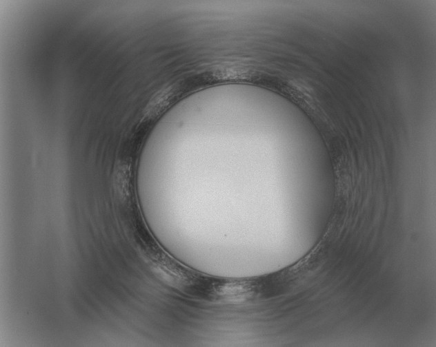 X0000061730171200512161632