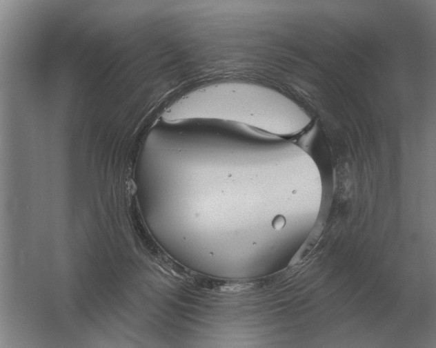 X0000061730172200512161632