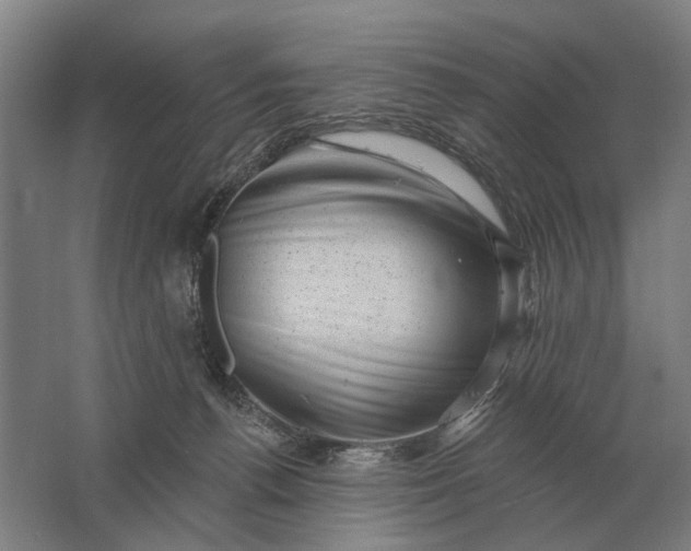 X0000061730176200512161632