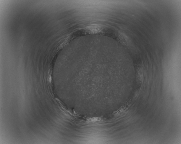 X0000061730177200512161632