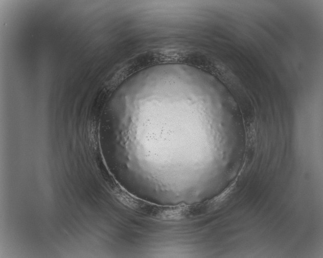 X0000061730178200512161632