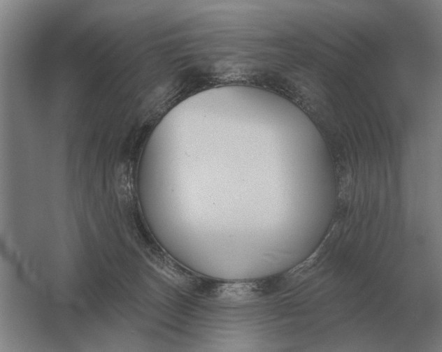 X0000061730179200512161632