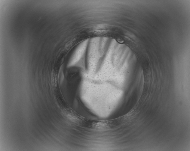 X0000061730180200512161632