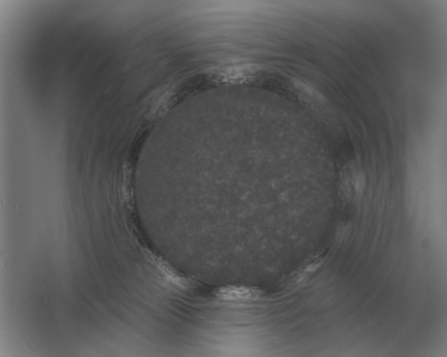 X0000061730181200512161632